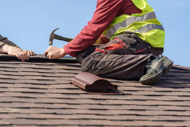 Best Roof Gutter Cleaning  in Central City, IL