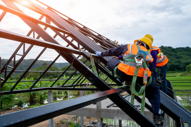 Roof Gutter Cleaning in Central City, IL