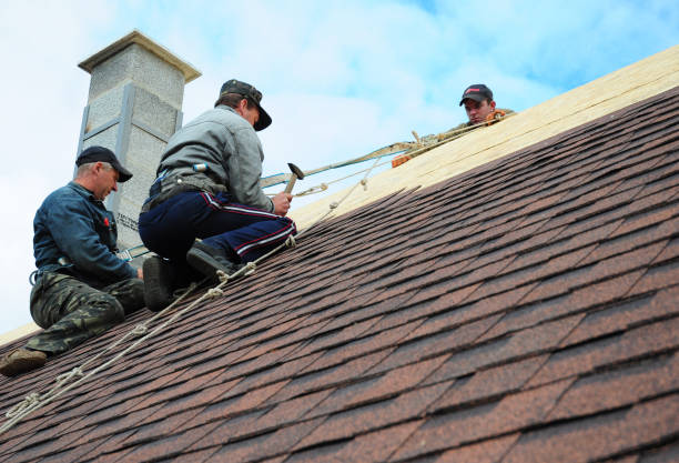 Best Roof Inspection Near Me  in Central City, IL